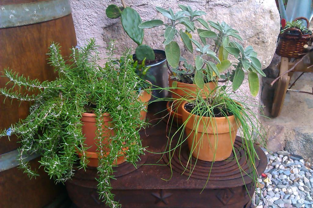 B&B Villa Ca'Praja Daone Exterior foto